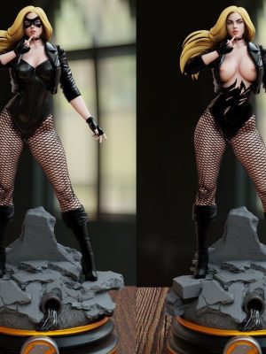 Black Canary 3D Model