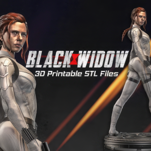 Black Widow 3D Model