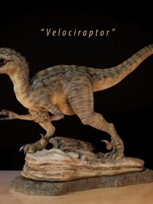 Velociraptor 3D Model