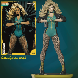 Black Canary 3D Model