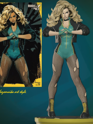 Black Canary 3D Model