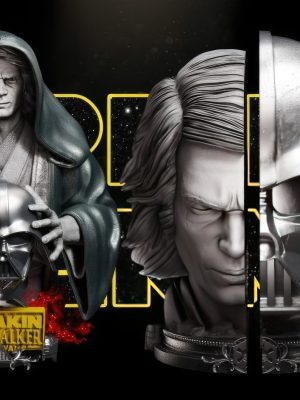 Anakin Bust 3D Model