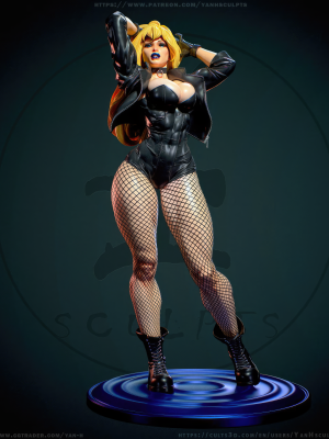 Black Canary 3D Model