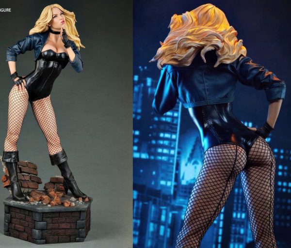Black Canary 3D Model