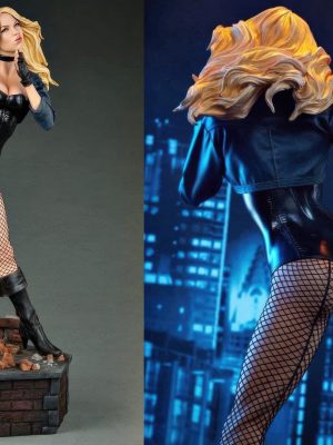 Black Canary 3D Model