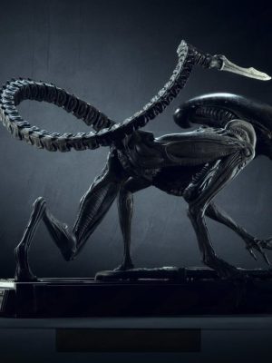 Dog Alien Crawling 3D Model