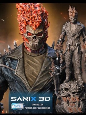 Ghost Rider 3D Model