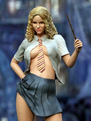 Hermione and Voldemor 3D Model