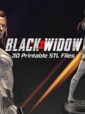 Black Widow 3D Model