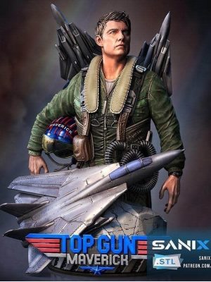 Top Gun 3D Model